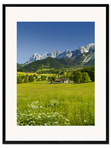 Impresión de arte enmarcada Alpine Meadow