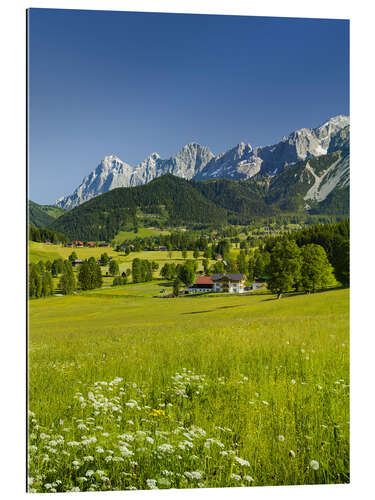 Galleritryck Alpine Meadow