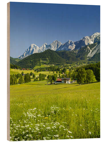 Holzbild Dachstein