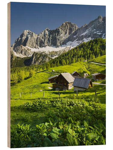 Stampa su legno Alpine Dream