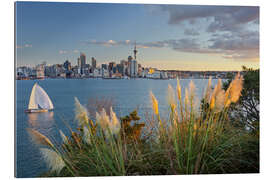 Tableau en plexi-alu Auckland