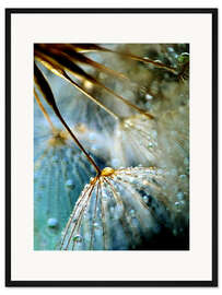 Gerahmter Kunstdruck Pusteblume Mystik