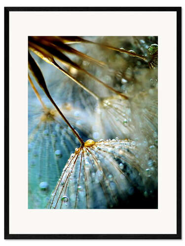Impresión de arte enmarcada Dandelion Mystik