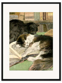 Gerahmter Kunstdruck Katzen auf dem Buch
