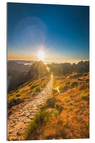 Tableau en plexi-alu En chemin vers le soleil