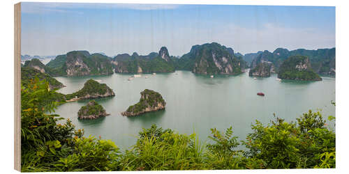 Obraz na drewnie Panorama Halong Bay - Vietnam