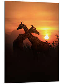 Magnettafel Liebe unter Giraffen