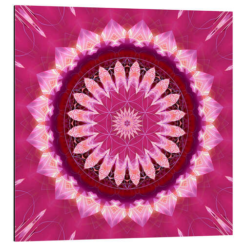 Cuadro de aluminio Mandala pinkblossom with flower of life