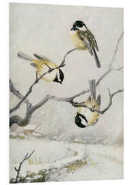 Foam board print Chickadee