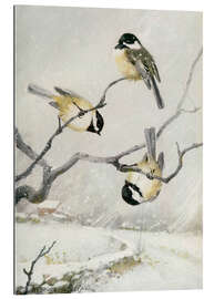 Gallery print Chickadee