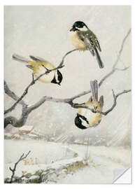 Wall sticker Chickadee