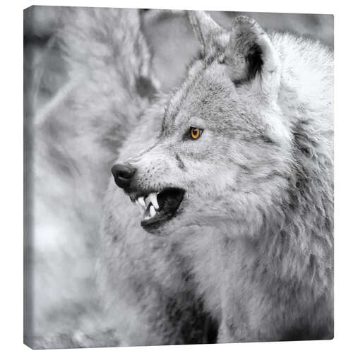 Canvas-taulu Wolf III