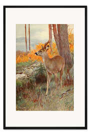 Gerahmter Kunstdruck Reh