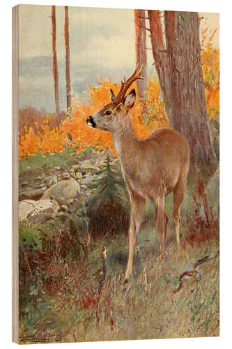 Wood print Roe Deer