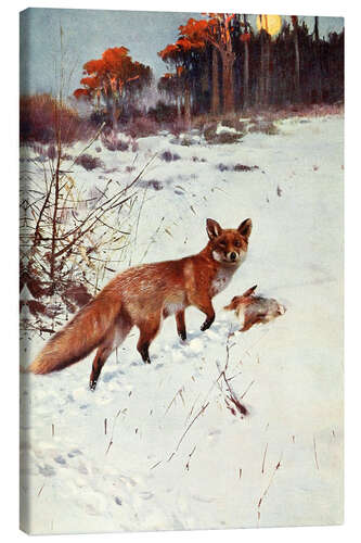 Canvas print Fox