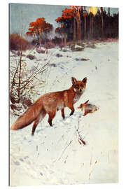 Gallery print Fox