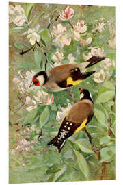 PVC print Goldfinch