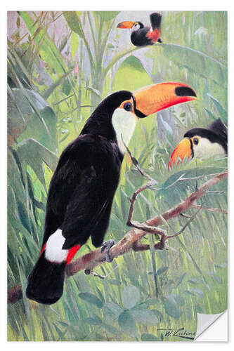 Autocolante decorativo Great Toucan