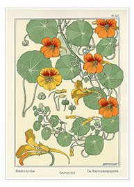 Poster  Blomsterkrasse (grafik 40) - Maurice Pillard Verneuil