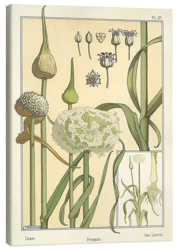 Tableau sur toile Le poireau
