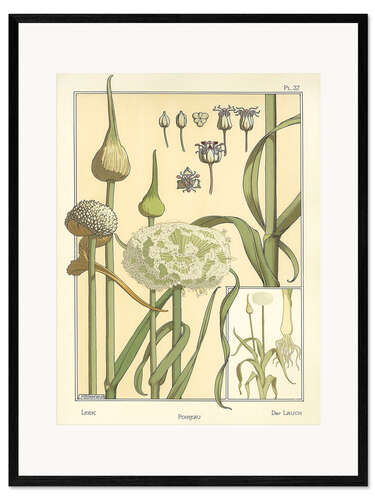 Framed art print The leek
