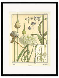 Framed art print The leek