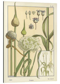 Magnettafel Der Lauch