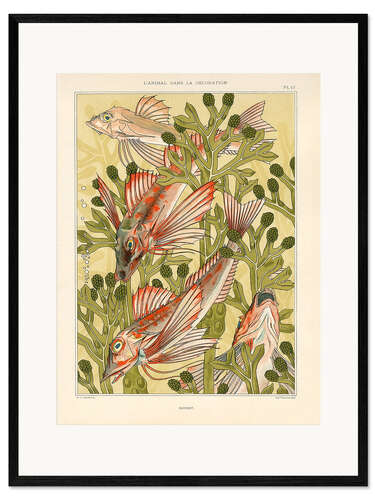 Kehystetty taidepainatus L'Animal dans la décoration - Poissons