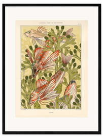 Kehystetty taidepainatus L'Animal dans la décoration - Poissons