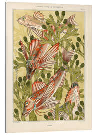 Magnettafel L'Animal dans la décoration - Poissons