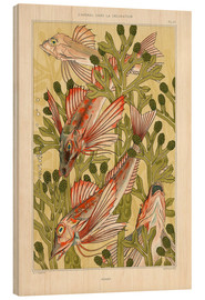 Obraz na drewnie  L'Animal dans la décoration - Poissons - Maurice Pillard Verneuil