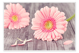 Wandbild Gerbera Blüte Blume - pixelliebe