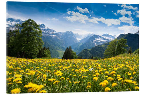 Acrylglasbild Panorama bei Braunwald im Frühling