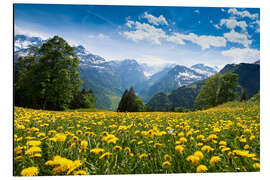 Aluminium print Braunwald in spring