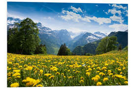 Foam board print Braunwald in spring