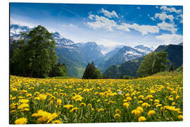 Magnettafel Panorama bei Braunwald im Frühling