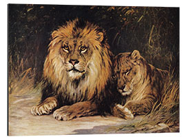 Tableau en aluminium Lions