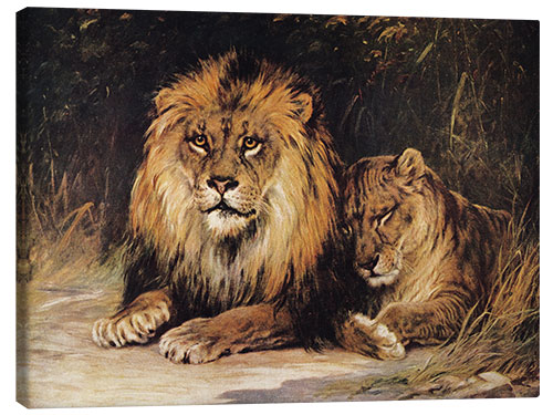 Canvas-taulu Lions