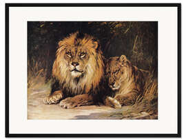 Gerahmter Kunstdruck Löwen