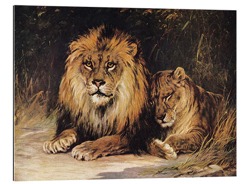 Galleriprint Lions