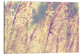 Magnettafel Golden Light