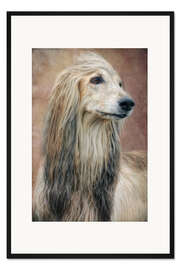 Gerahmter Kunstdruck Afghane