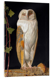 Tableau en verre acrylique  William James Webbe - The White Owl
