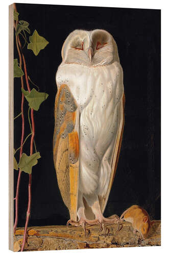 Wood print William James Webbe - The White Owl