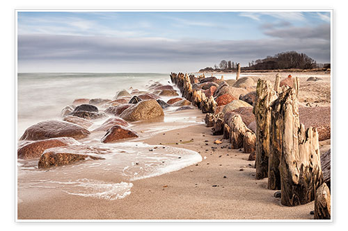 Poster Groyne and stones on shore of the Baltic Sea