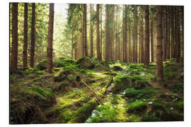 Magnettafel Frühlingserwachen im Wald