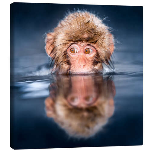 Canvas print Japanese Snow monkey bathing