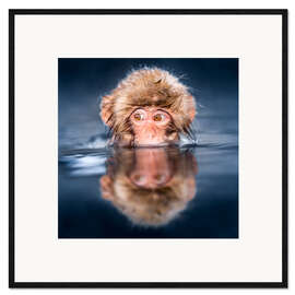 Ingelijste kunstdruk Japanese Snow monkey bathing