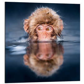 Magnettafel Japanischer Schneeaffe beim Baden