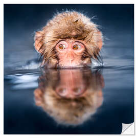 Selvklebende plakat Japanese Snow monkey bathing